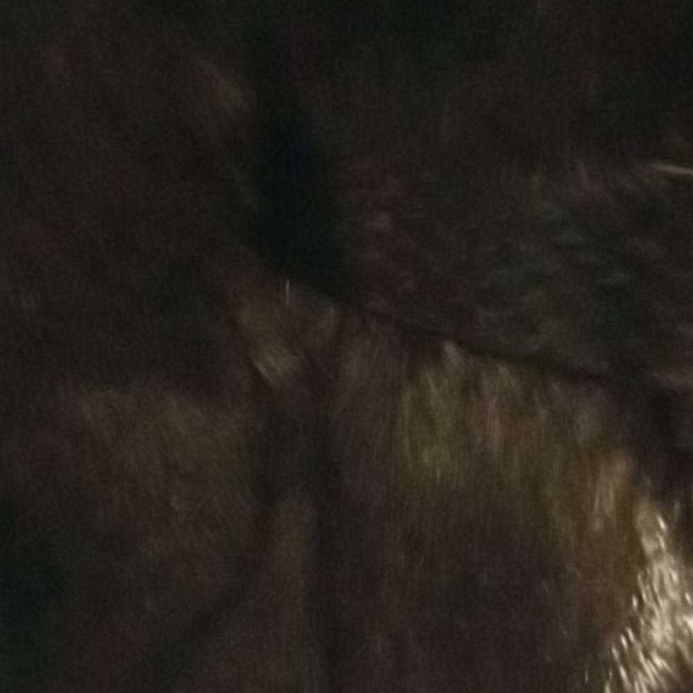 Mink Jacket/Belt Not Included - Picture 13 of 16